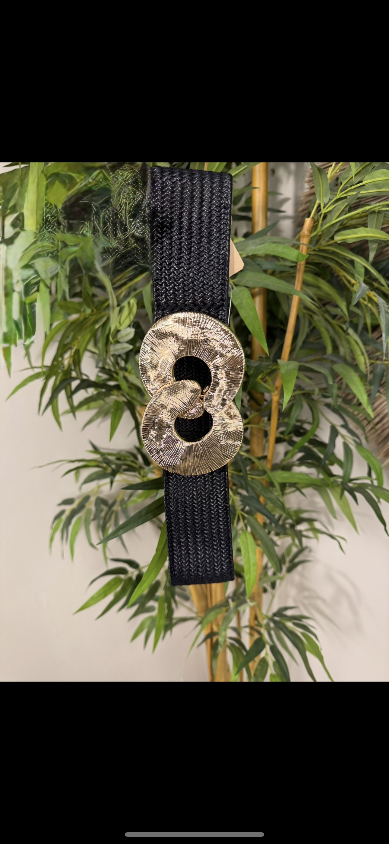 Fashion Clasp Belt