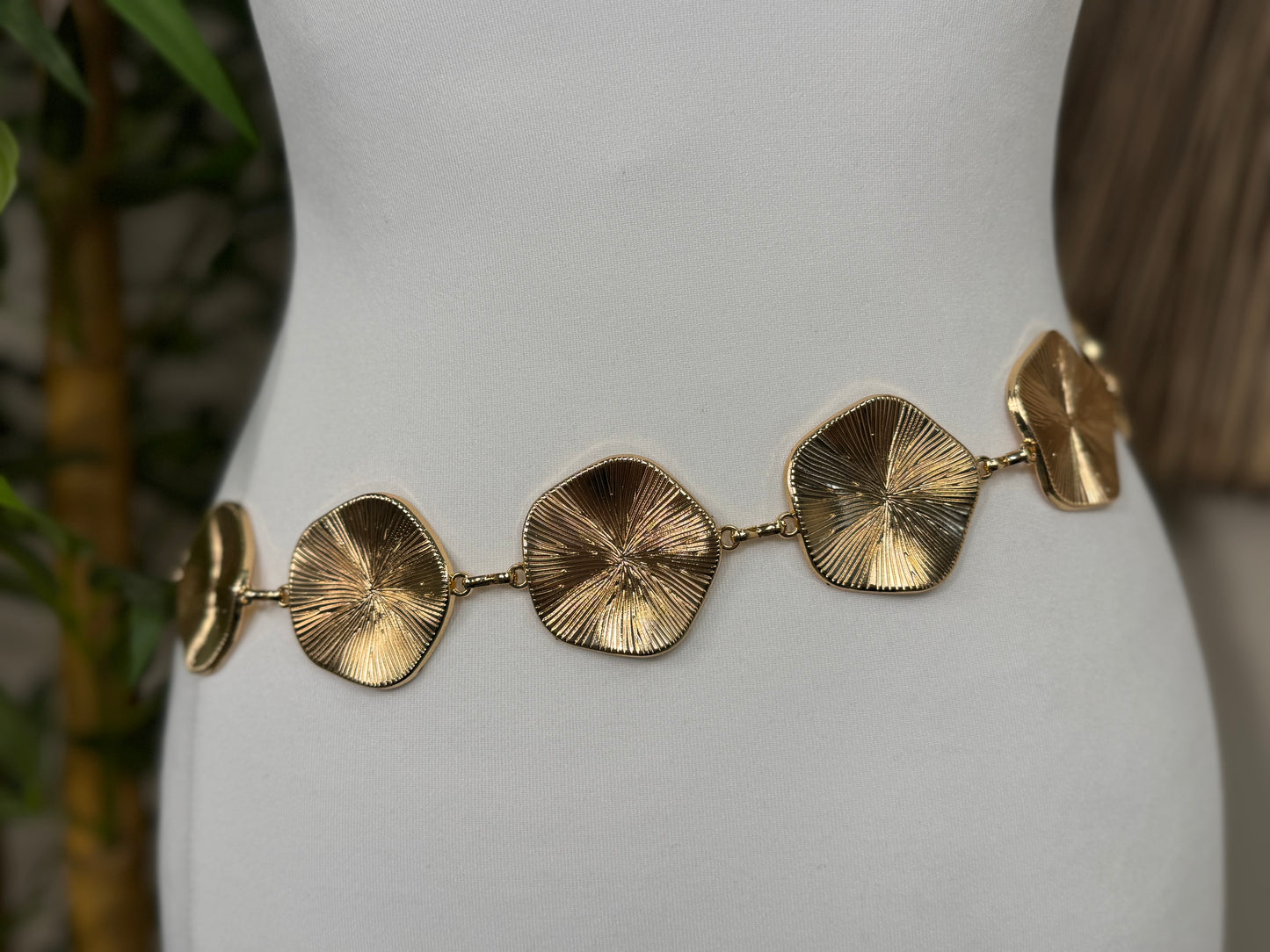 Fashion Coin Belt