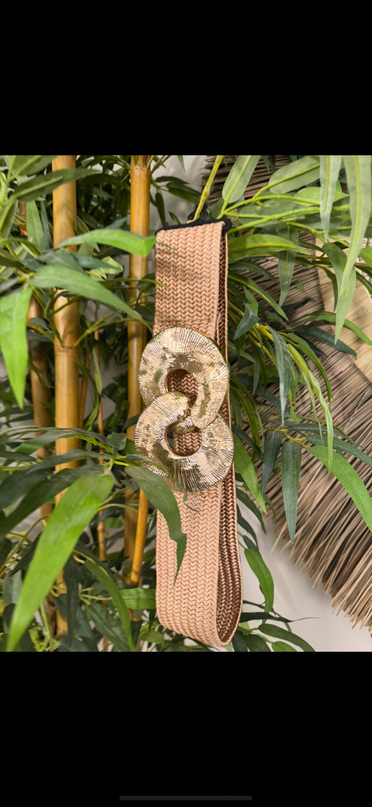 Fashion Clasp Belt